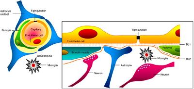 Advances and Challenges in Intranasal Delivery of Antipsychotic Agents Targeting the Central Nervous System